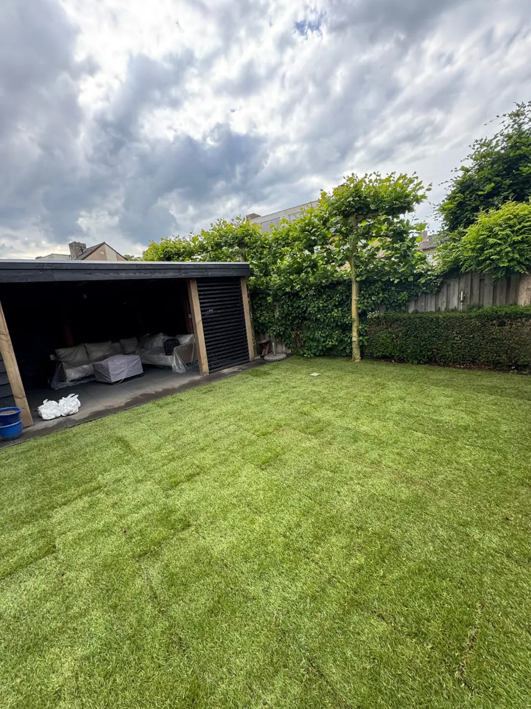 Pas gelegde graszoden in een ruime tuin, met een overkapping op de achtergrond